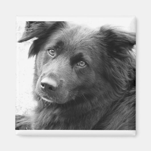 Layla Magneet (Voorkant)