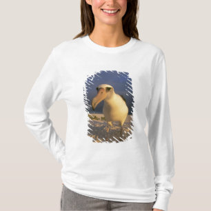 Laysan Albatros, Diomedea immutabilis), T-shirt