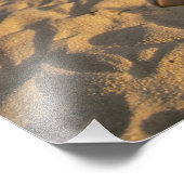 Laysan Albatross, Diomedea immutabilis), Foto Afdruk (Hoek)