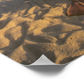 Laysan Albatross, Diomedea immutabilis), Poster (Hoek)