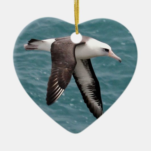 Laysan Albatross Keramisch Ornament (Voorkant)