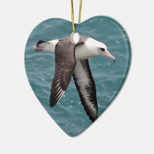 Laysan Albatross Keramisch Ornament (Links)