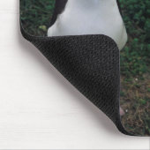 Laysan albatross staand muismat (Hoek)