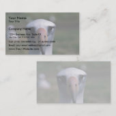 Laysan albatross visitekaartje (Voorkant / Achterkant)