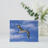 Laysan albatross vliegend in de lucht briefkaart (Staand voorkant)