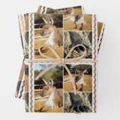 Lazing Kangaroo fotocollage, geschenkwikkelbladen, Inpakpapier Vel (In situ)