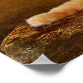 Lazing kat poster (Hoek)