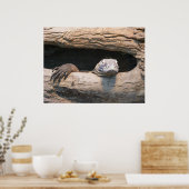 Lazing Komodo Poster (Keuken)