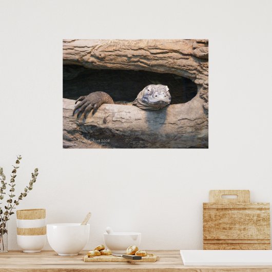 Lazing Komodo Poster (Keuken)