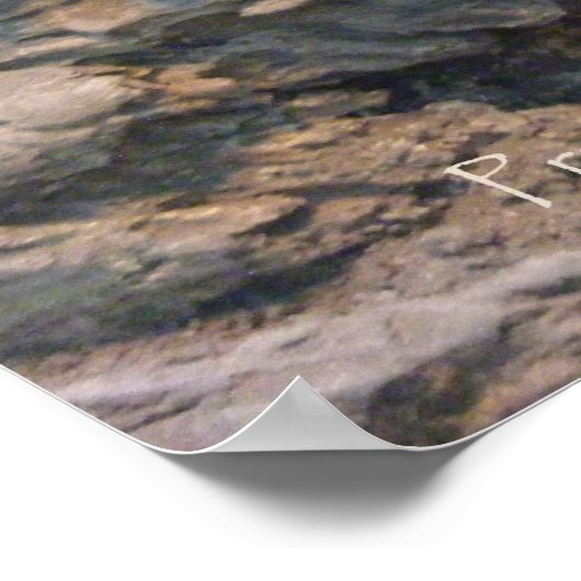 Lazing Komodo Poster (Hoek)