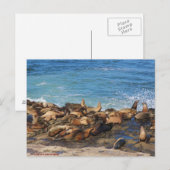 Lazing On A Sunny Afternoon Briefkaart (Voorkant / Achterkant)