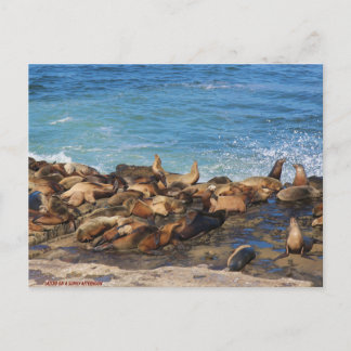 Lazing On A Sunny Afternoon Briefkaart