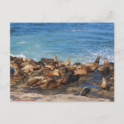 Lazing On A Sunny Afternoon Briefkaart (Voorkant)