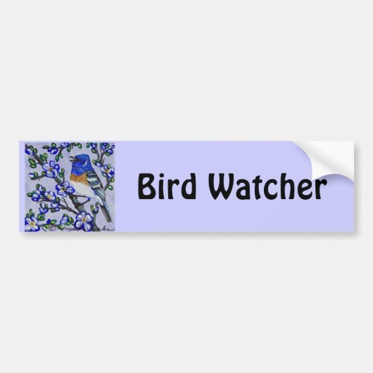 Lazuli Bunting Bumpersticker (Voorkant)