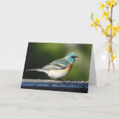 Lazuli Bunting Notecard Kaart (Gele Bloem)