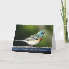 Lazuli Bunting Notecard Kaart