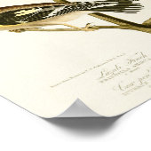 Lazuli Finch John James Audubon Birds of America Poster (Hoek)