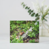 Lazy Acorn elf eten van bosbessen Briefkaart (Staand voorkant)