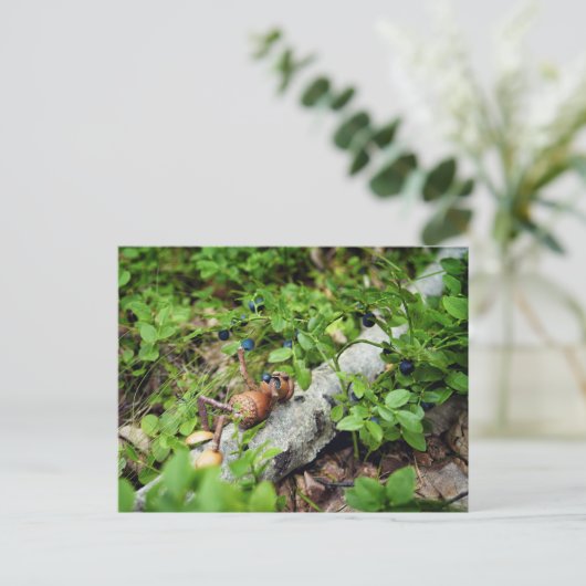 Lazy Acorn elf eten van bosbessen Briefkaart (Staand voorkant)