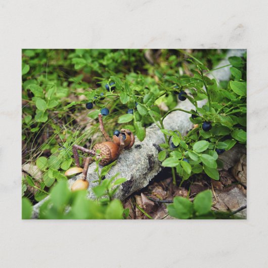 Lazy Acorn elf eten van bosbessen Briefkaart (Voorkant)