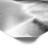 Lazy Afternoons Cat Photo Print Foto Afdruk (Hoek)