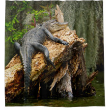 Lazy Alligator Shower Curtain van DeGruy