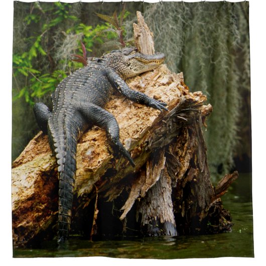 Lazy Alligator Shower Curtain van DeGruy Douchegordijn (Voorkant)