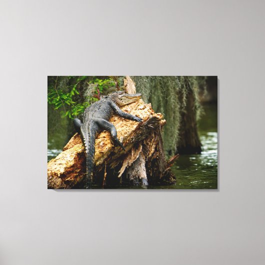 Lazy Alligator Stretched Canvas Afdrukken door DeG (Voorkant)
