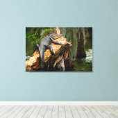 Lazy Alligator Stretched Canvas Afdrukken door DeG (Insitu (Houten vloer))