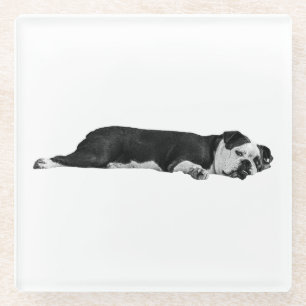 Lazy Bulldog, nette tafel Glazen Onderzetter