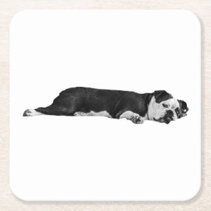 Lazy Bulldog, nette tafel Kartonnen Onderzetters