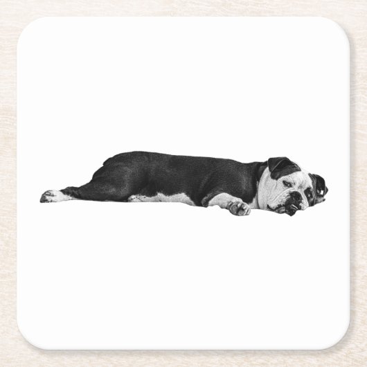 Lazy Bulldog, nette tafel Kartonnen Onderzetters (Voorkant)