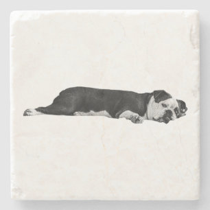 Lazy Bulldog, nette tafel Stenen Onderzetter