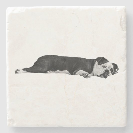 Lazy Bulldog, nette tafel Stenen Onderzetter (Voorkant)