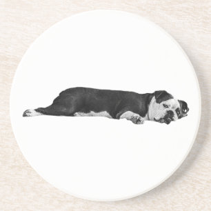 Lazy Bulldog, nette tafel Zandsteen Onderzetter