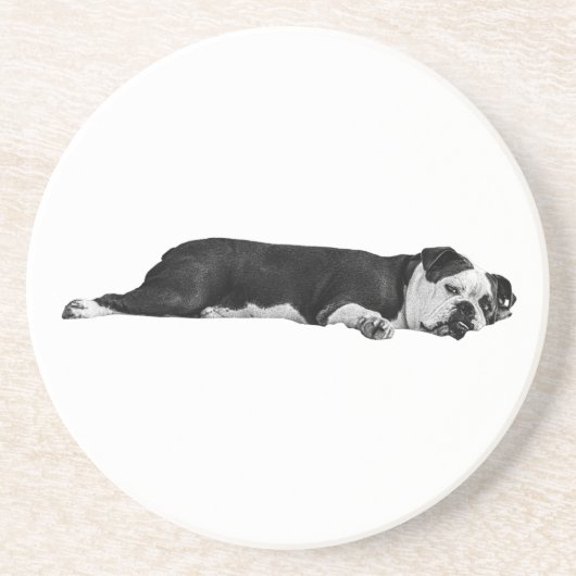 Lazy Bulldog, nette tafel Zandsteen Onderzetter (Voorkant)
