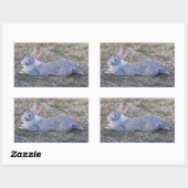 Lazy Bunny Stickers (Vel)
