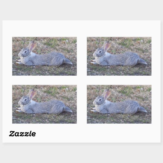 Lazy Bunny Stickers (Vel)