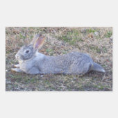 Lazy Bunny Stickers (Voorkant)