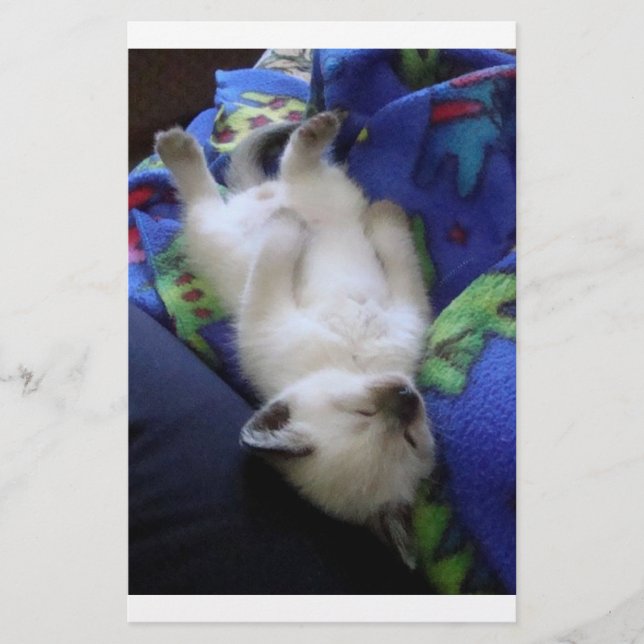 Lazy Cat (Voorkant)