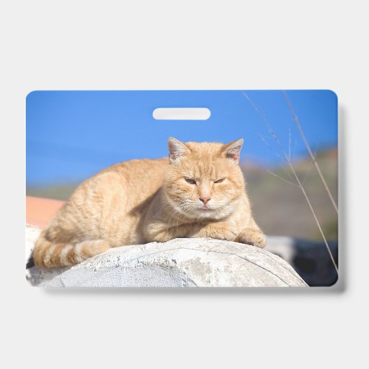 Lazy cat badge (Voorzijde)