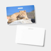 Lazy cat badge (Voor- en achterkant)
