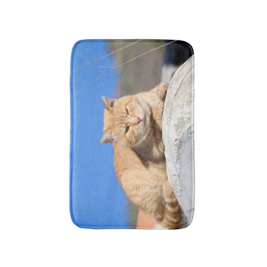 Lazy cat badmat (Voorkant Verticaal)