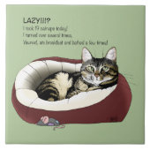 Lazy Cat Bed Groen Grappig Tegeltje (Voorkant)