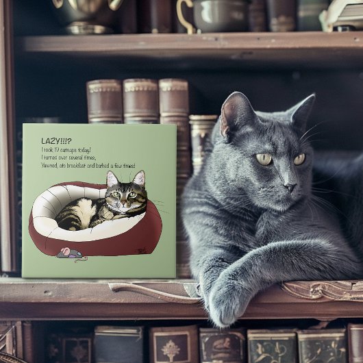 Lazy Cat Bed Groen Grappig Tegeltje