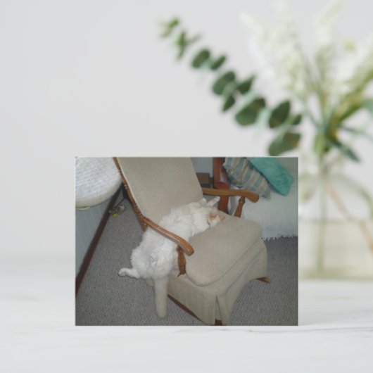 Lazy Cat Briefkaart (Staand voorkant)