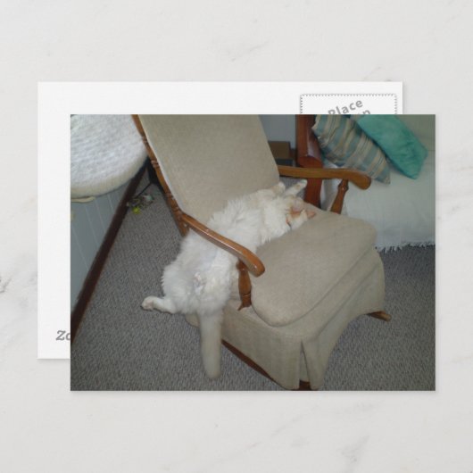 Lazy Cat Briefkaart (Voorkant / Achterkant)