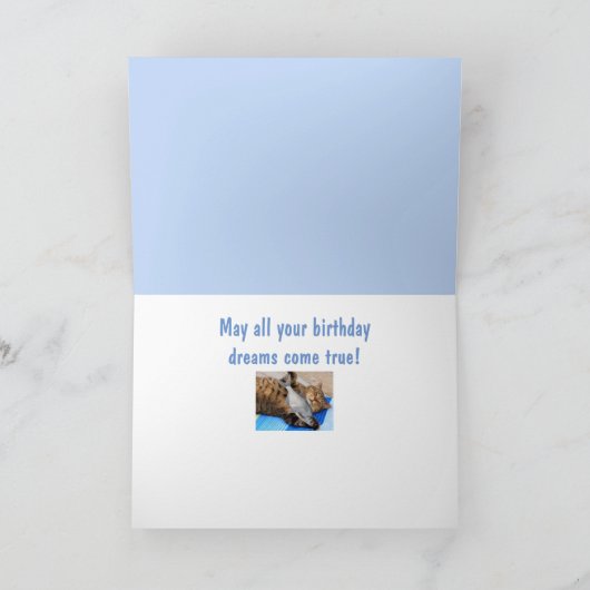 Lazy Cat en Cheeseburger Birthday Kaart (Binnen)