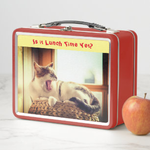 Lazy Cat Feline Metal Box