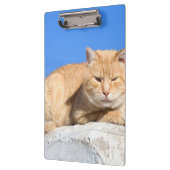 Lazy cat klembord (Links)